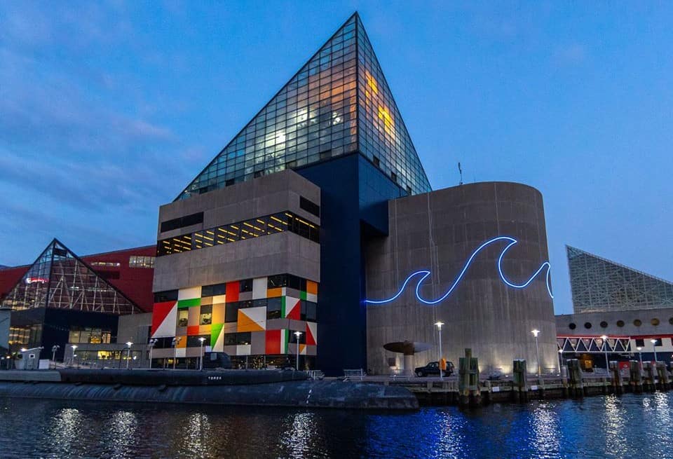 The National Aquarium – also known as National Aquarium in Baltimore and formerly known as Baltimore Aquarium – is a non-profit public aquarium